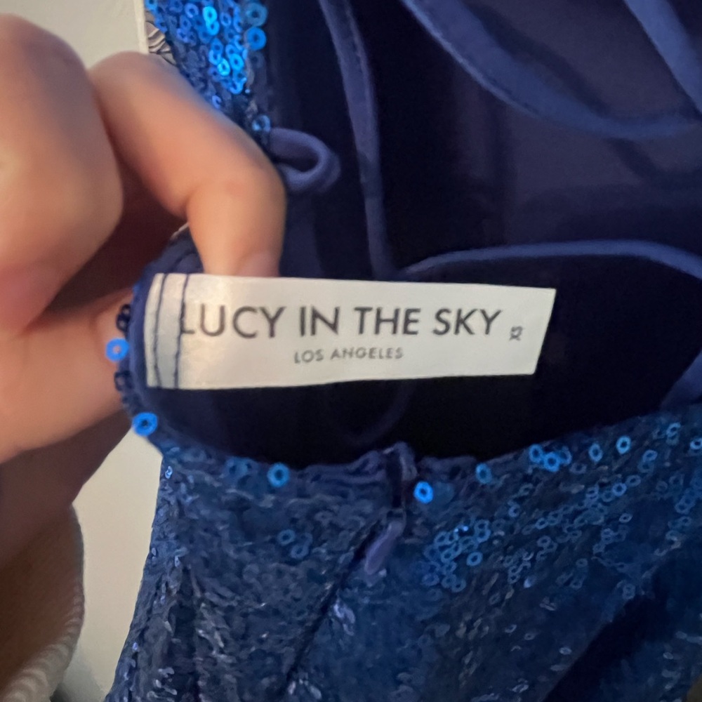 Lucy in the sky sequin cowl neck dress.